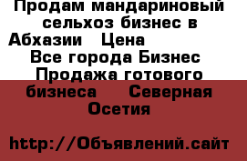 Продам мандариновый сельхоз-бизнес в Абхазии › Цена ­ 1 000 000 - Все города Бизнес » Продажа готового бизнеса   . Северная Осетия